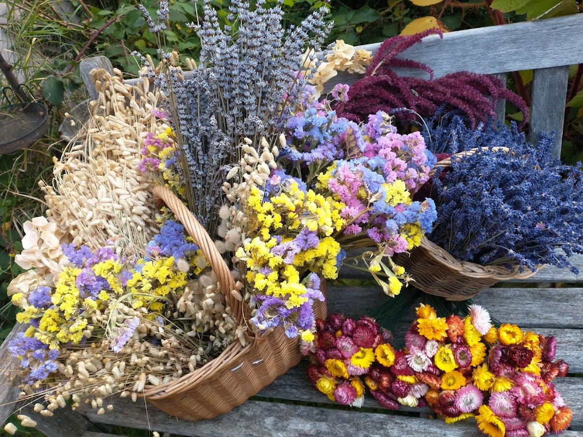 Welsh dried flowers mixed bouquet Welsh Flower Barrow